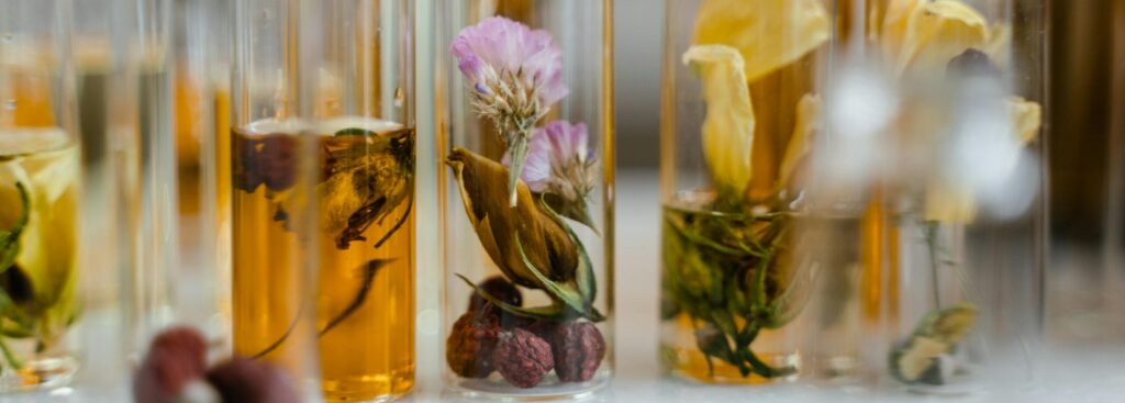Essential Oil Extraction